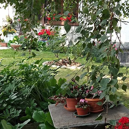 Casa Del Boschetto *