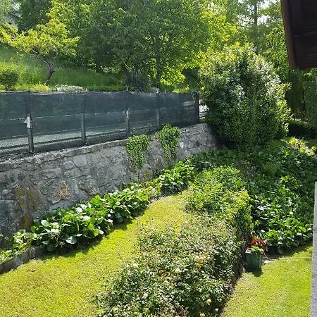Casa Del Boschetto Apartment